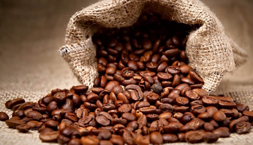 coffee bean suppliers brisbane